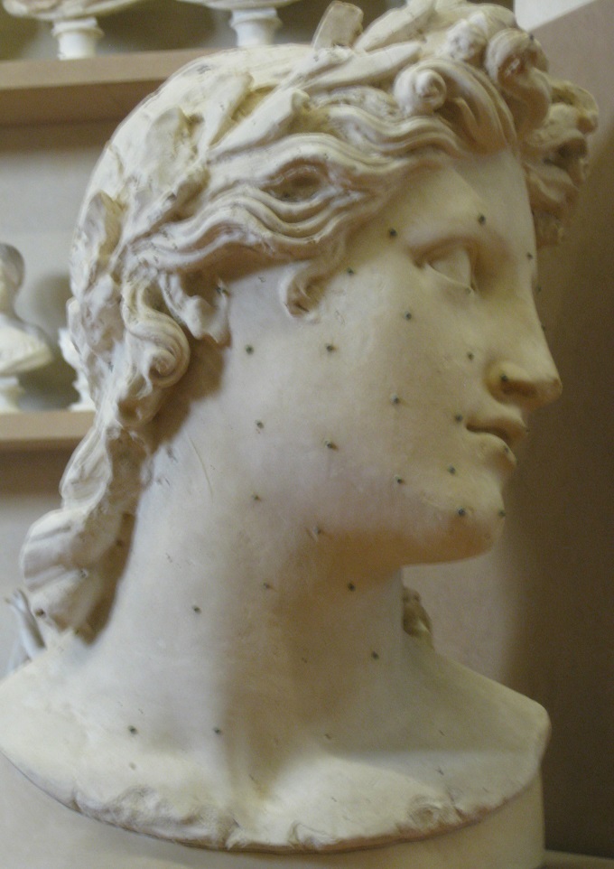 Accademia Bust