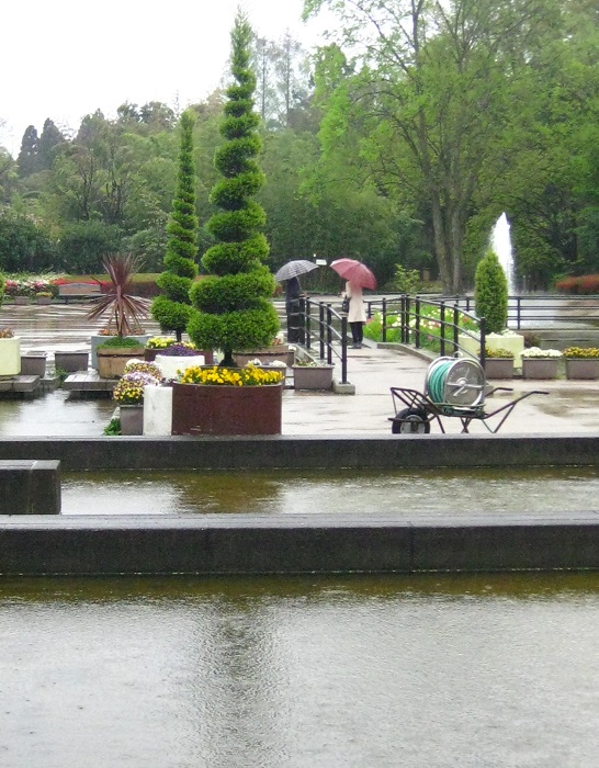 Rainy Botanical Garden