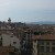Florence Roof Tops
