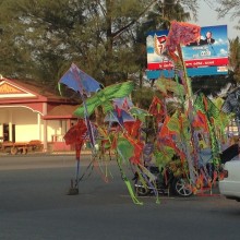 Cambodian Kites