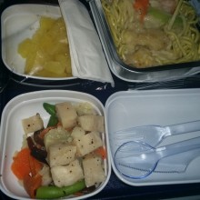 Airplane Meal